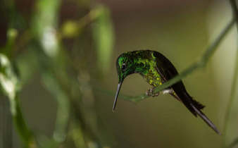 Excellent birdwatching 