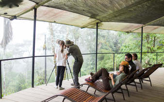 The observation deck