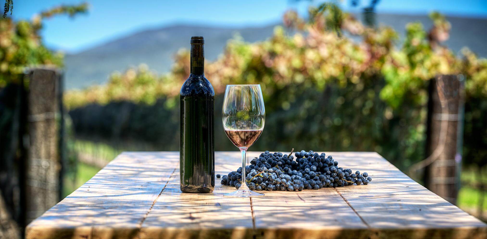 A bottle of red wine, a glass, and a cluster of grapes sit on a vineyard table with Chilean vines and hills in the background. 