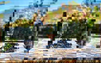 A bottle of red wine, a glass, and a cluster of grapes sit on a vineyard table with Chilean vines and hills in the background. 