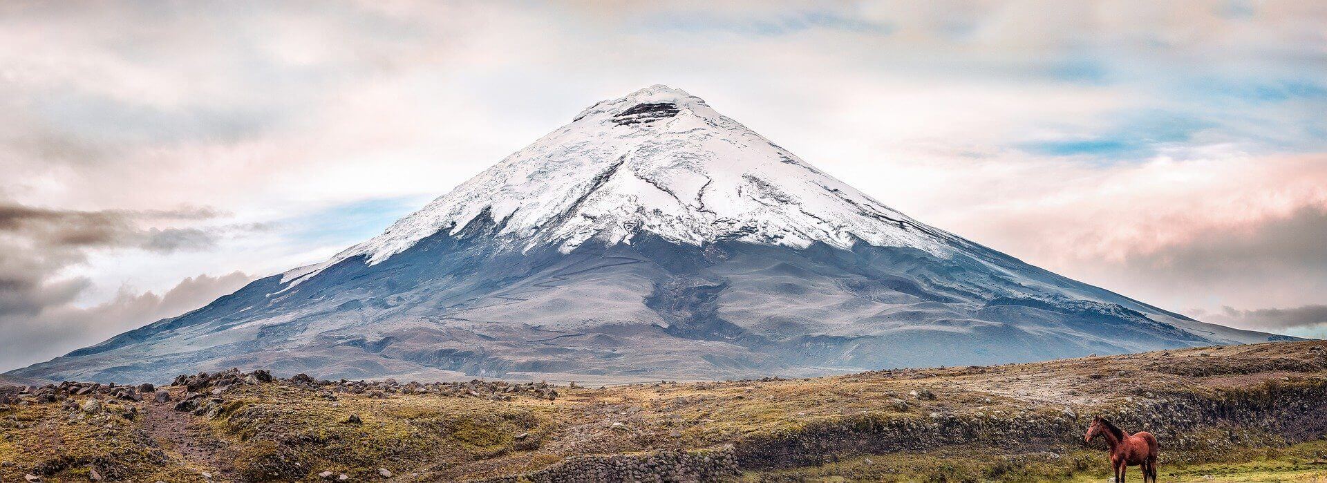 Cotopaxi 