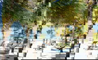 Relaxing hammock between palm trees on a white sandy Riviera Maya beach with lounge chairs and Caribbean Sea views. 