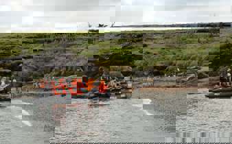 Zodiac landing near a penguin colony on the wild, green shores of southern Chile. 