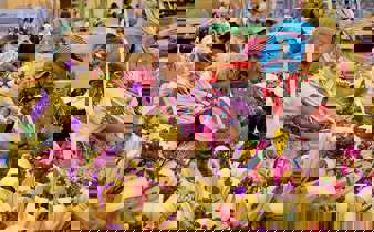 Riot of colours - Weavings and Flowers