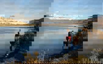 Traveler admires the reflection of the Paine Massif in a still Patagonia lake under clear skies in Torres del Paine, Chile. 