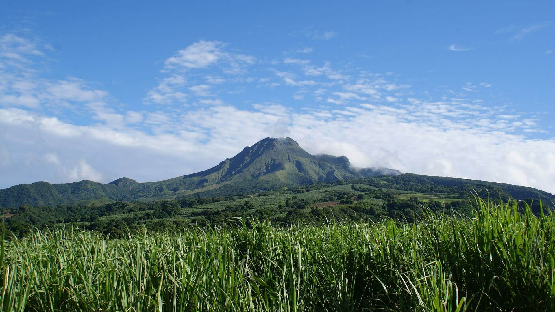 Martinique